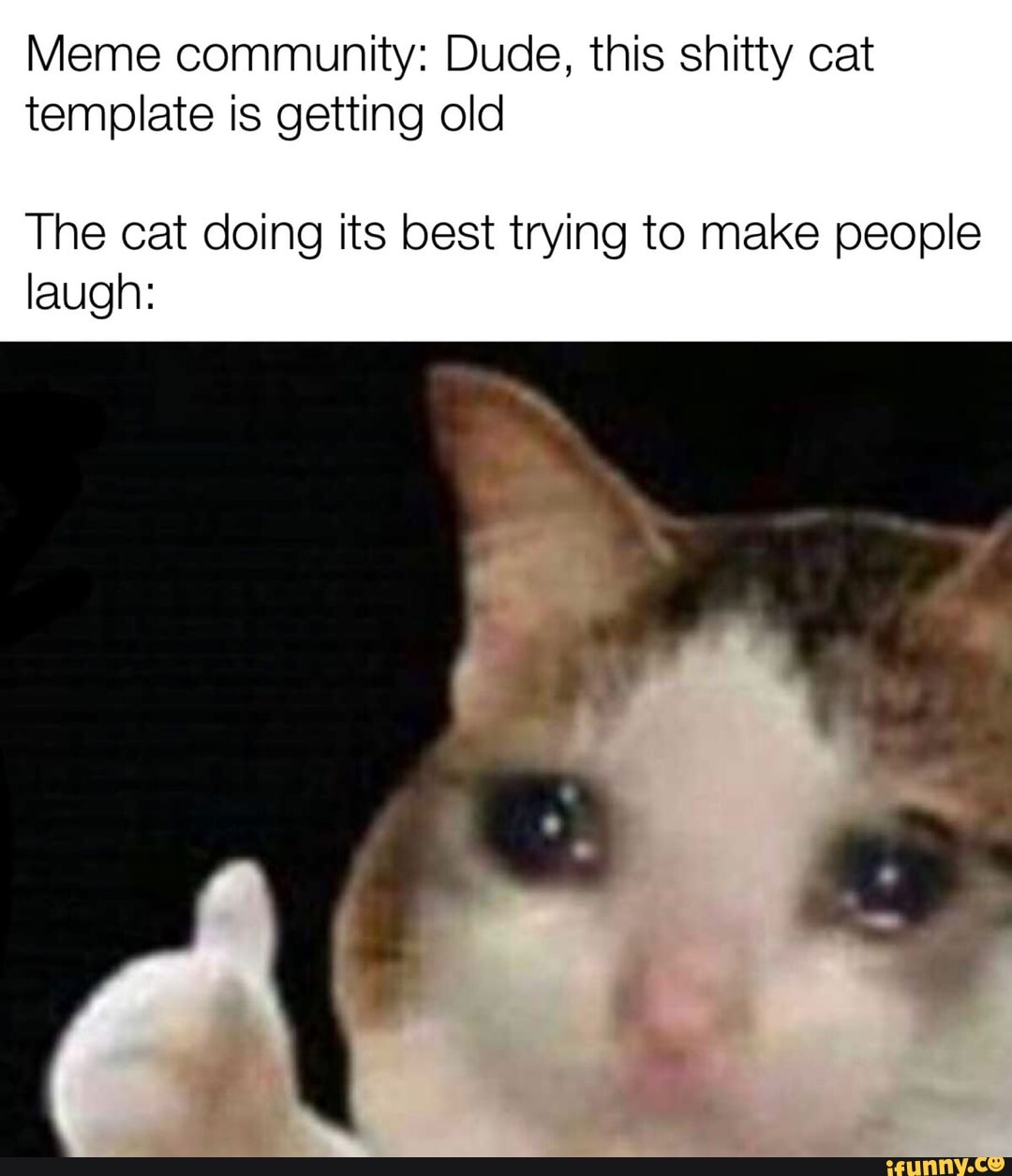 meme-community-dude-this-shitty-cat-template-is-getting-old-the-cat