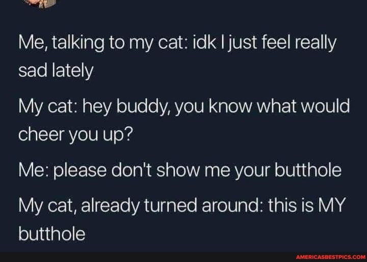 Me, talking to my cat: idk I just feel really sad lately
My cat: hey buddy, you know what would cheer you up?
Me: please don't show me your butthole
My cat, already turned around: this is MY butthole