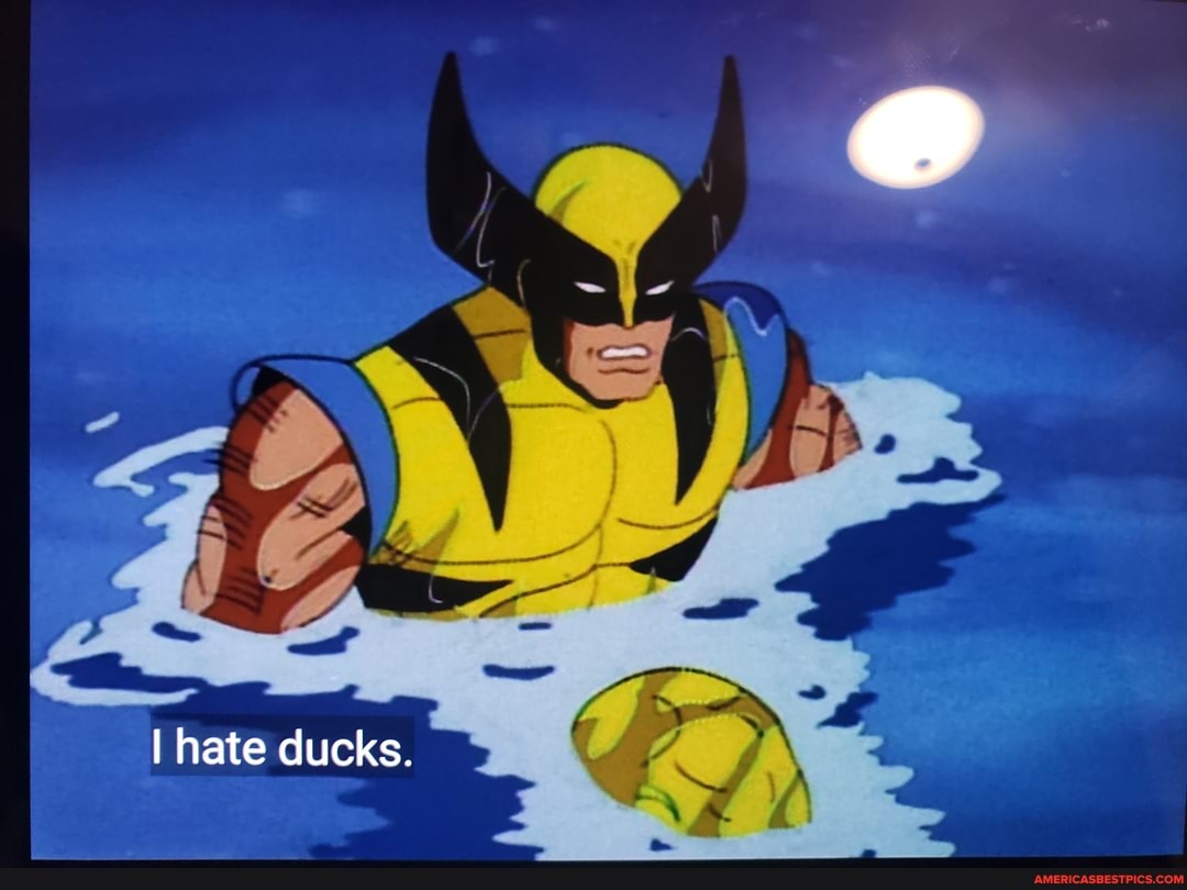 I hate ducks.
