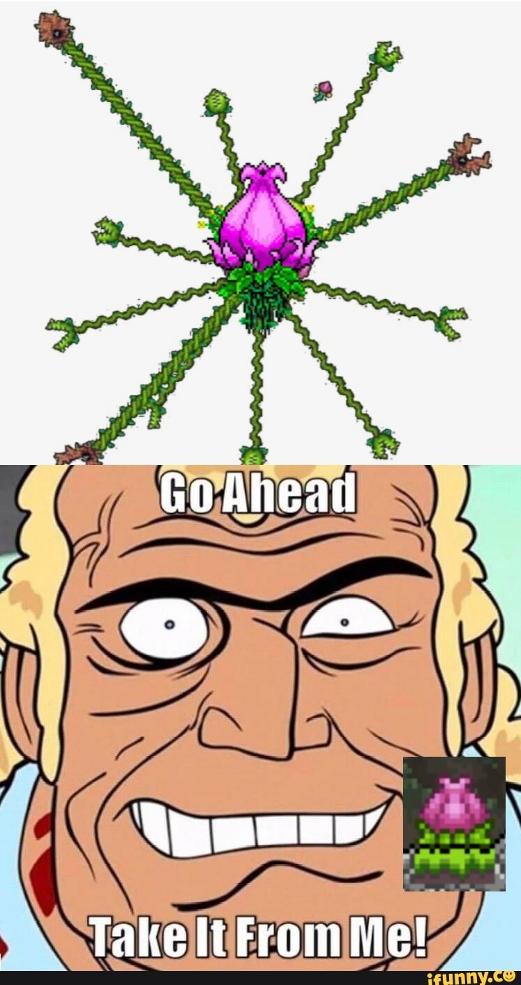 Plantera memes. Best Collection of funny Plantera pictures on iFunny