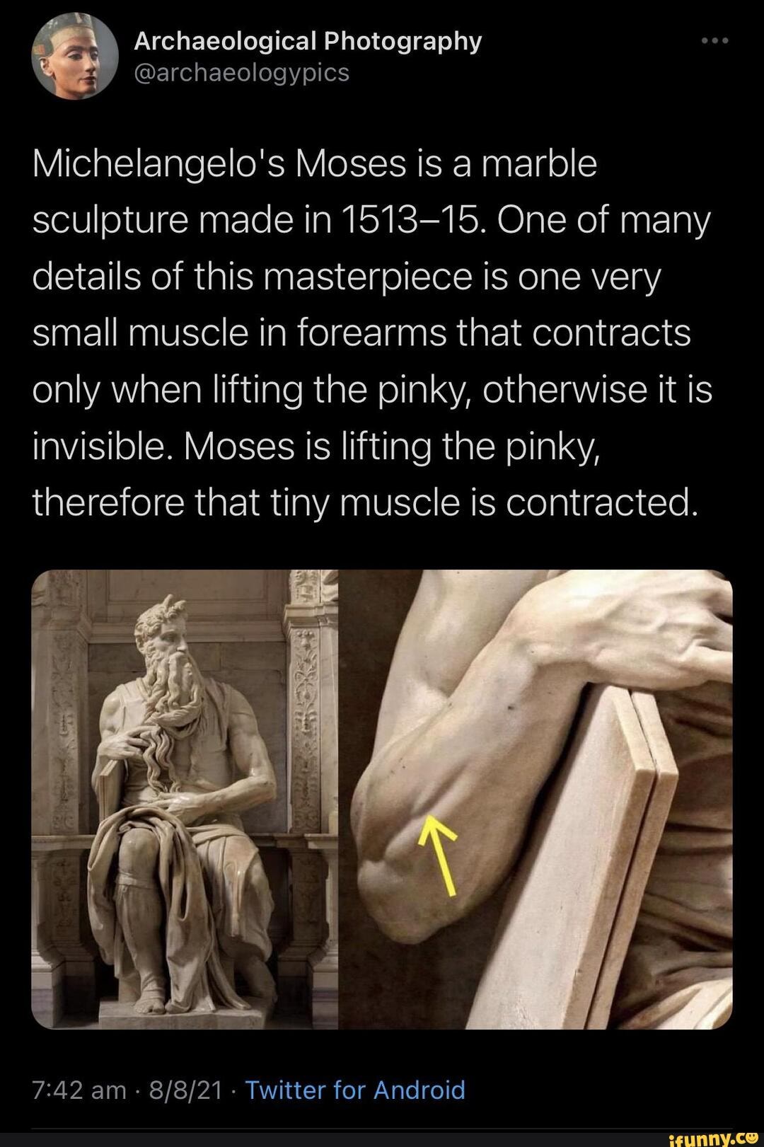 Michelangelo's Moses is a marble sculpture made in 151315. One of many