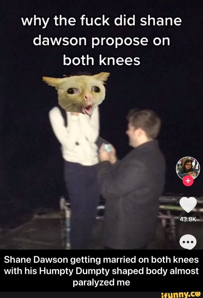 why the fuck did shane dawson propose on both knees
43.8K
Shane Dawson getting married on both knees with his Humpty Dumpty shaped body almost paralyzed me - Shane Dawson getting married on both knees with his Humpty Dumpty shaped body almost paralyzed me