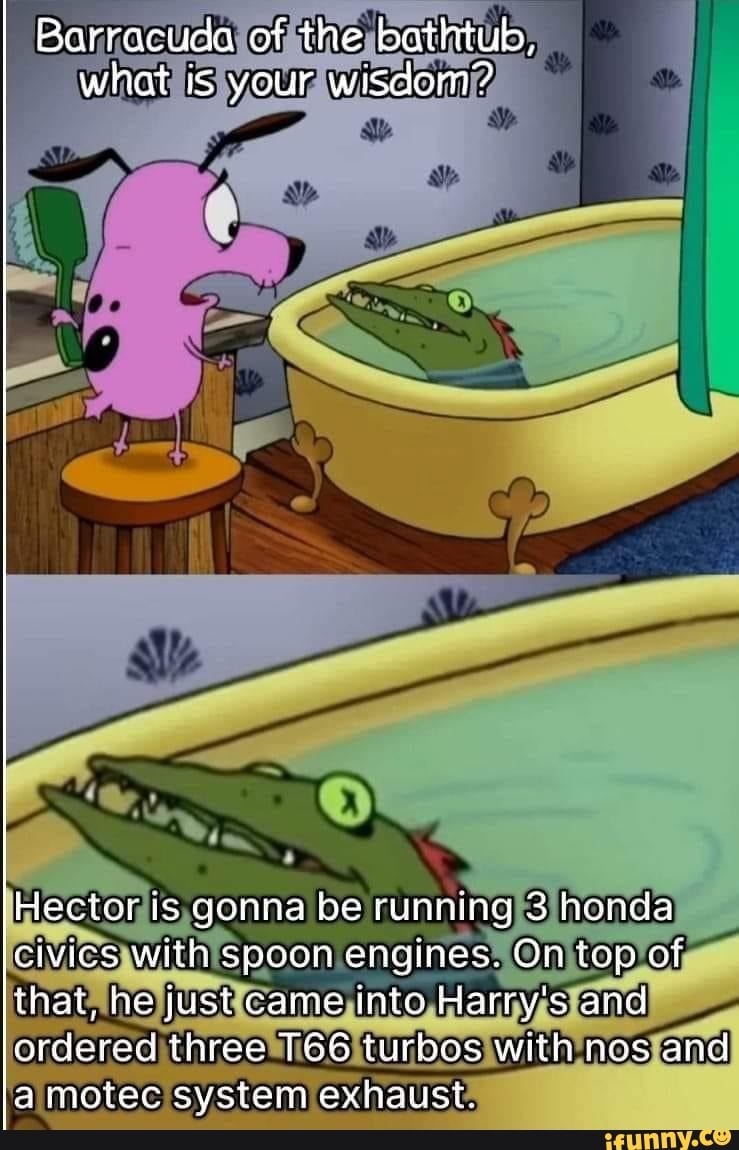 Barracuda of the bathtub, what is your wisdom? Hector is qonna be