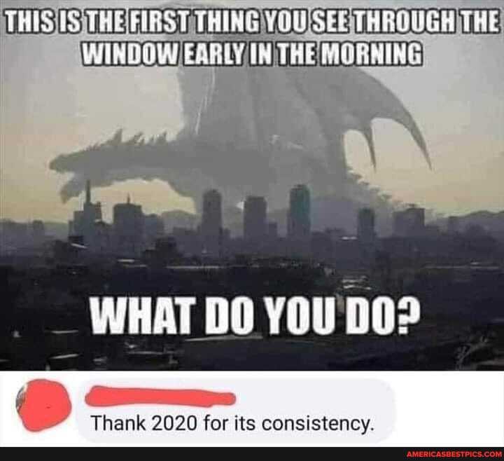 THIS
WHAT DO YOU DO?
Thank 2020 for its consistency.