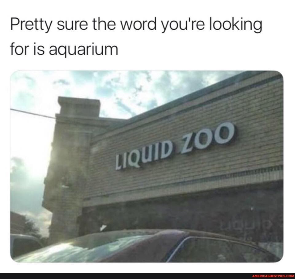 Pretty sure the word you're looking for is aquarium