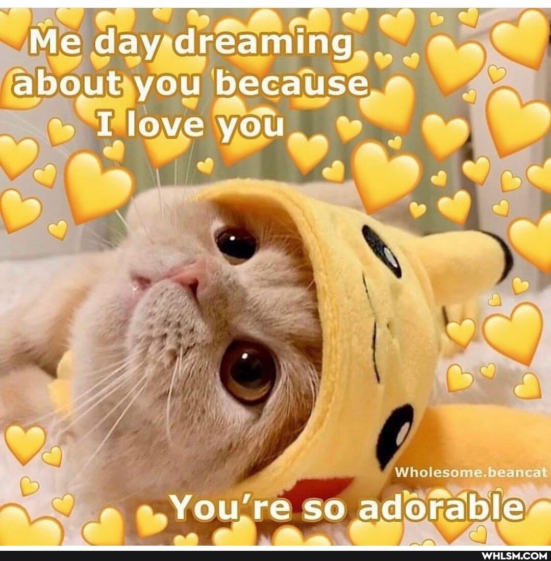 Me day dreaming about you because love you
You're so adorable