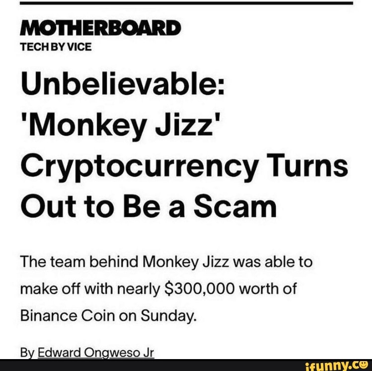 monkey junior worth money