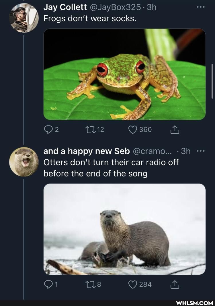 Jay Collett @JayBox325-
Frogs don't wear socks.
360
and a happy new Seb @cramo...
Otters don't turn their car radio off
before the end of the song