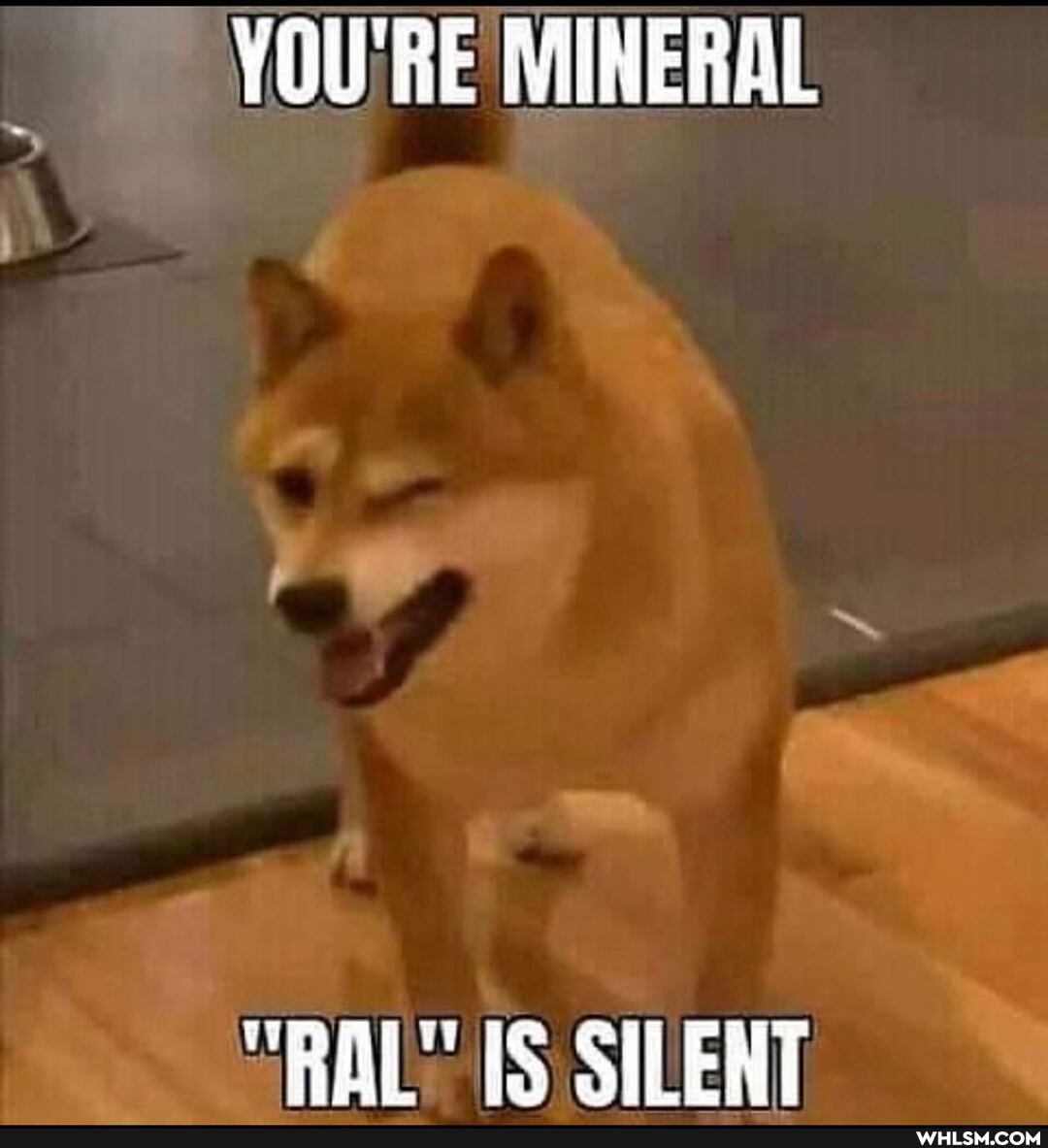 YOU'RE MINERAL
"RAL IS SILENT
