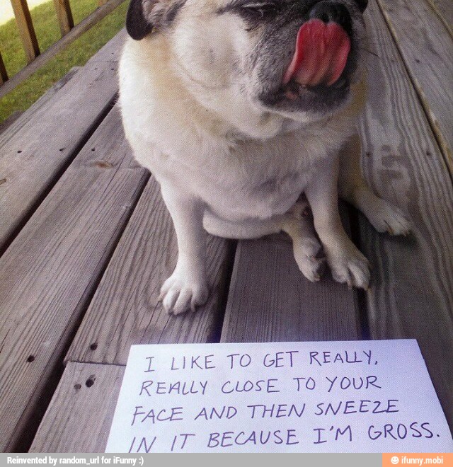 KE TO GET REAL
Ly CLOSE. TO YOUR
AND THEN SNEEZE
T
BECAUSE I'M GROSS.