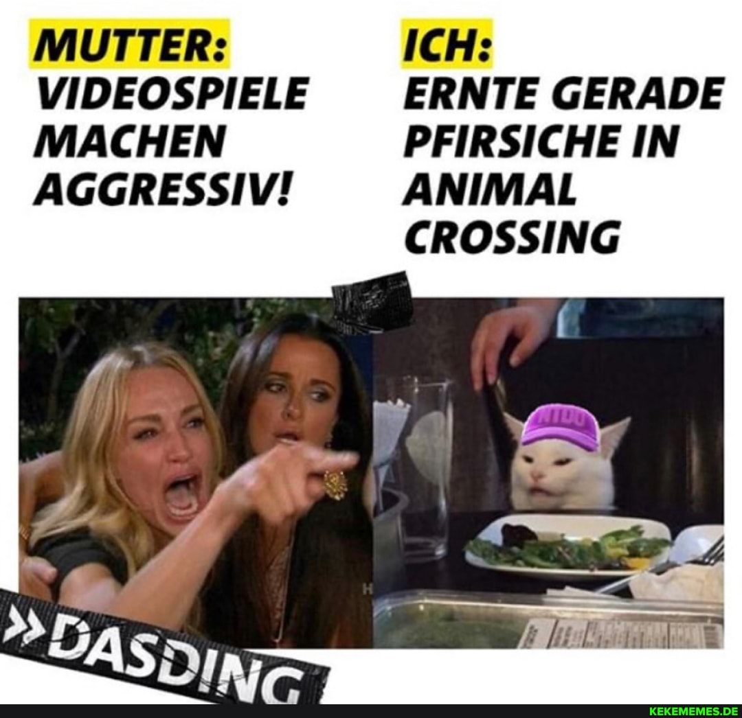 MUTTER: ICH:
VIDEOSPIELE ERNTE GERADE MACHEN PFIRSICHE IN AGGRESSIV!
ANIMAL CROSSING