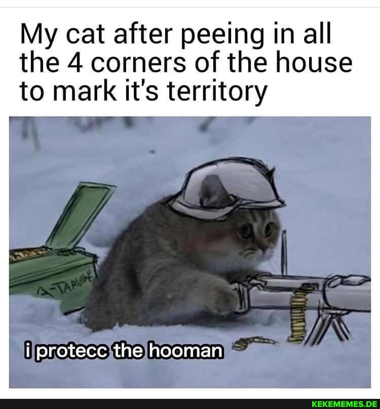 My cat after peeing in all the 4 corners of the house to mark it's territory
i protecc the hooman