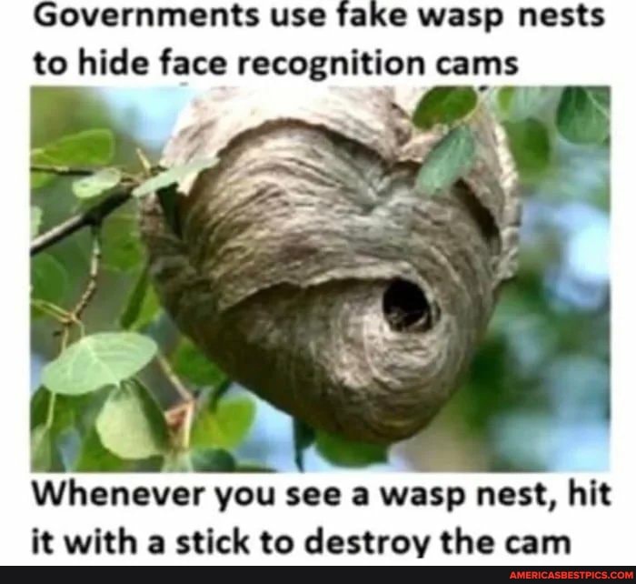 Governments use fake wasp nests to hide face recognition cams
Whenever you see a wasp nest, hit it with a stick to destroy the cam
