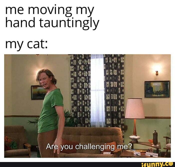 me moving my hand tauntingly
Are you challenging, me?