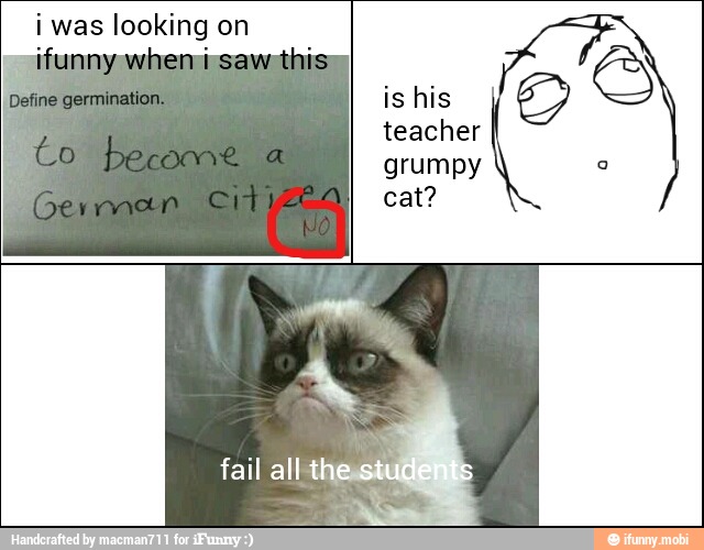 i looking
3
teacher
grumpy
cat?