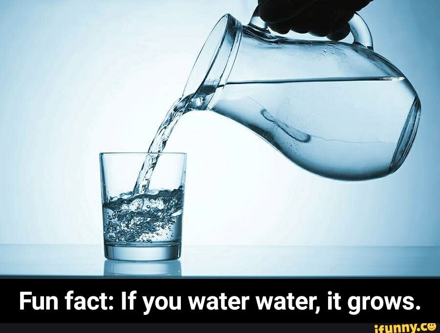 Fun fact If you water water, it grows. Fun fact If you water water