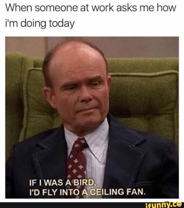 When someone at work asks me how
i'm doing today
IF WAS A BIRD, I I'D FLY INTO A CEILING FAN.