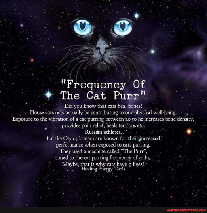 of
The Cat Pu
Did you know that cats heal be es!
House cats may actually be contributing to our physical well being.
Exposure to the vibration of a cat purring between 2050 hz increases bone density, provides pain relief, heals tendons etc.
Russian athletes,.
for the Olympic team are known for their,increased performance when exposed to cats purring.
They used a machine called "The Purr',
'tuned to the cat purring frequency of 50 hz,
that is why cats have 9 lives!
Healing Energy Tools