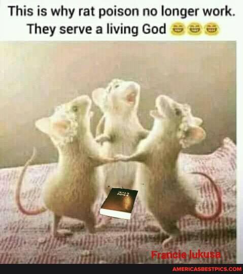 This is why rat poison no longer work.
They serve a living God