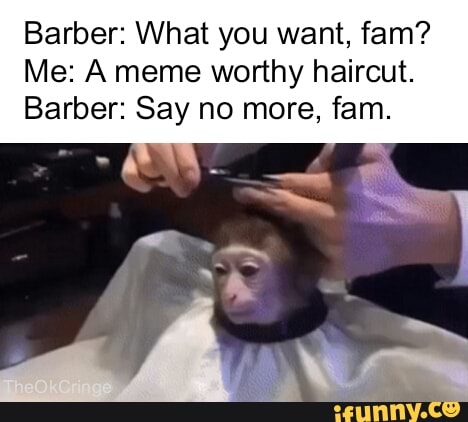 Barber What You Want Fam Me A Meme Worthy Haircut Barber Say No More Fam
