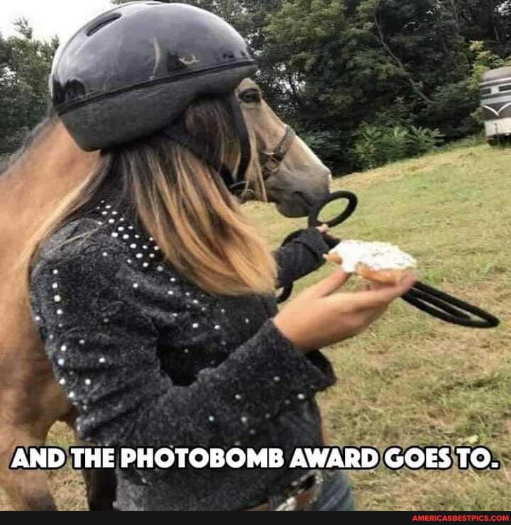 AND THE BOMB AWARD GOES TO.