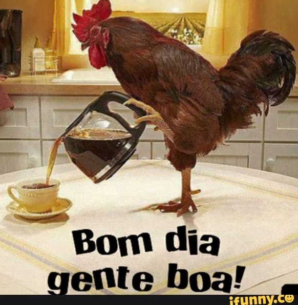 Bom dia gente boa!
