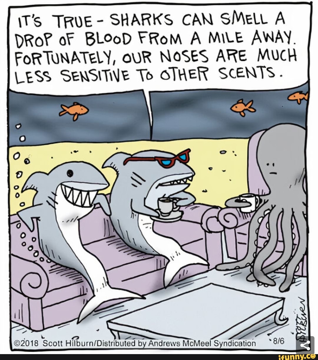 IT's TRUE SHARKS CAN SMeLt A DRoY of BLOoD FRom A MILE AWAY