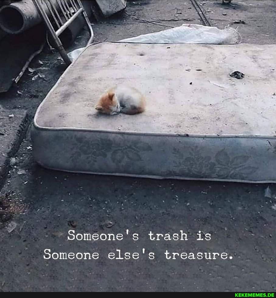 Someone's trash is
Someone else's treasure.
