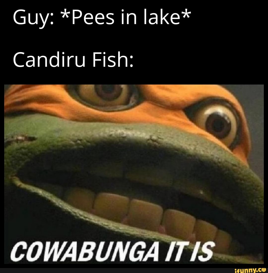 Guy: *Pees in lake* Candiru Fish: COWABUNGA IT IS - iFunny