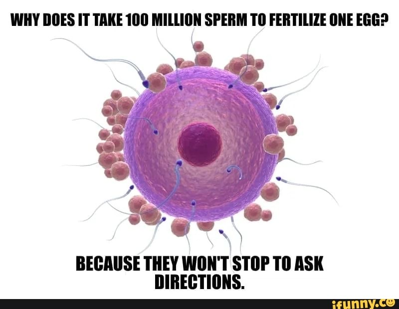 WHY DOES IT TAKE 100 MILLION SPERM TO FERTILIZE ONE EGG? BECAUSE THEY