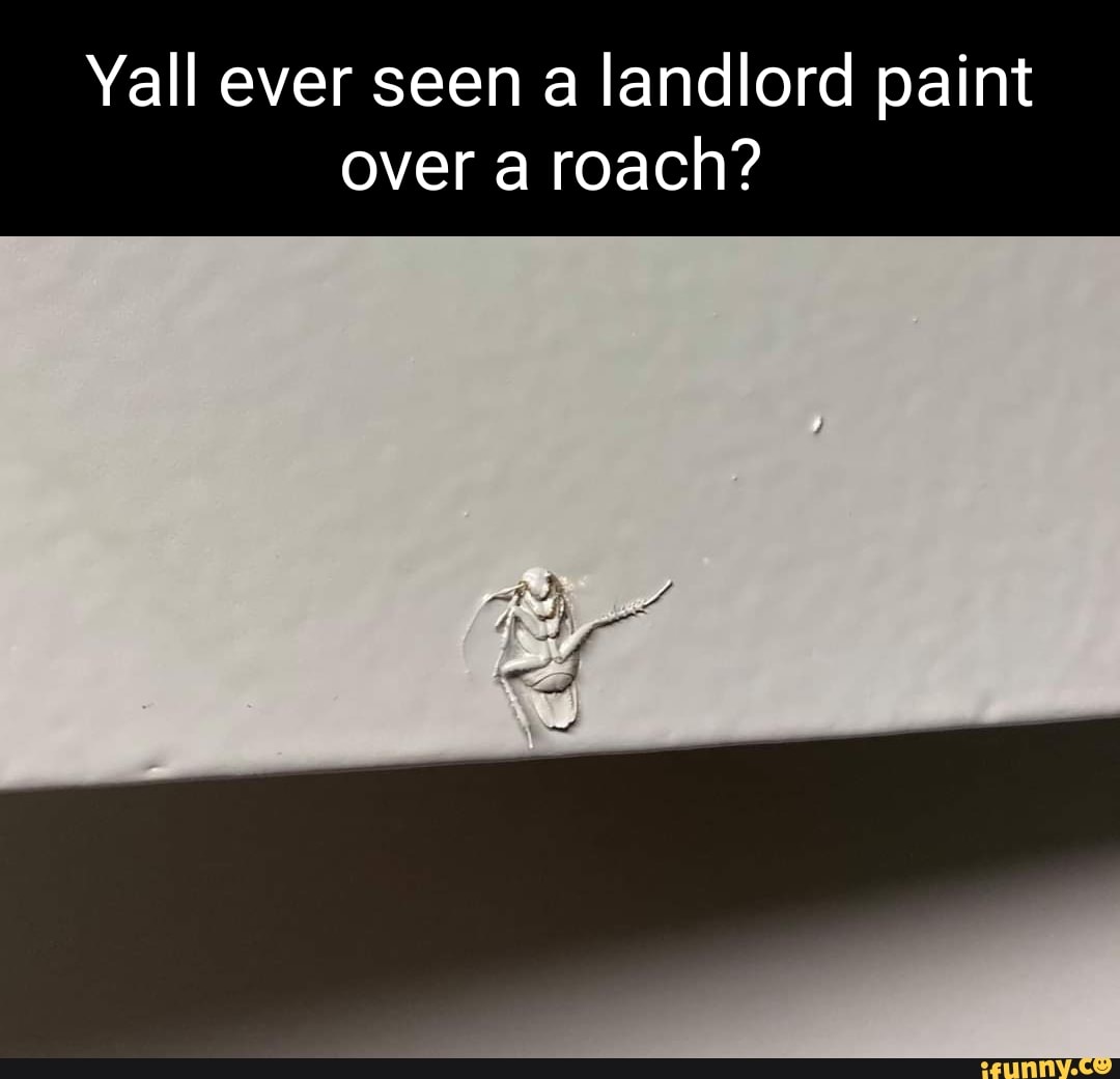 Yall Ever Seen A Landlord Paint Over A Roach