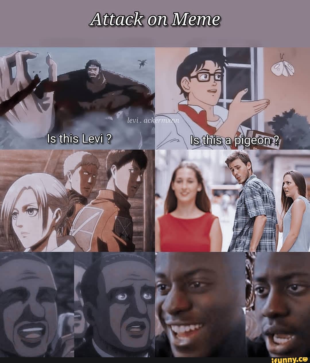Attack on Meme
is this Levi ? Is this a pigeon ?
