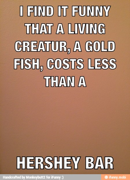 CREATUR; A GOLD
FISH; COSTS) EESS
HERSHEY BAR