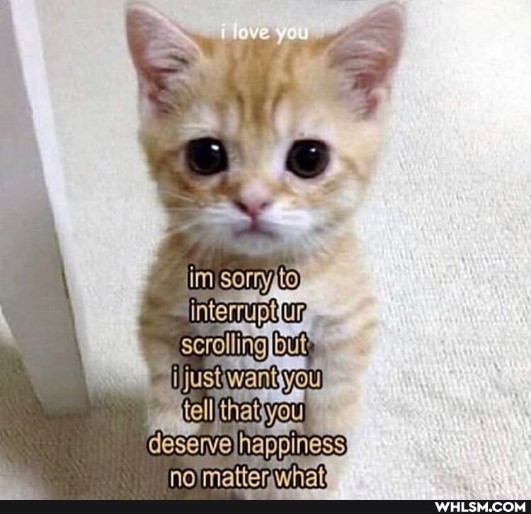 lave you
deserve happiness
No matter wha