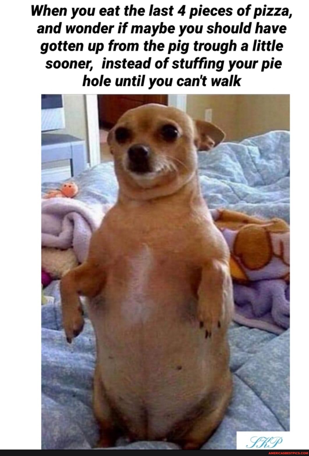 When you eat the last 4 pieces of pizza, and wonder if maybe you should have gotten up from the pig trough a little sooner, instead of stuffing your pie hole until you can't walk