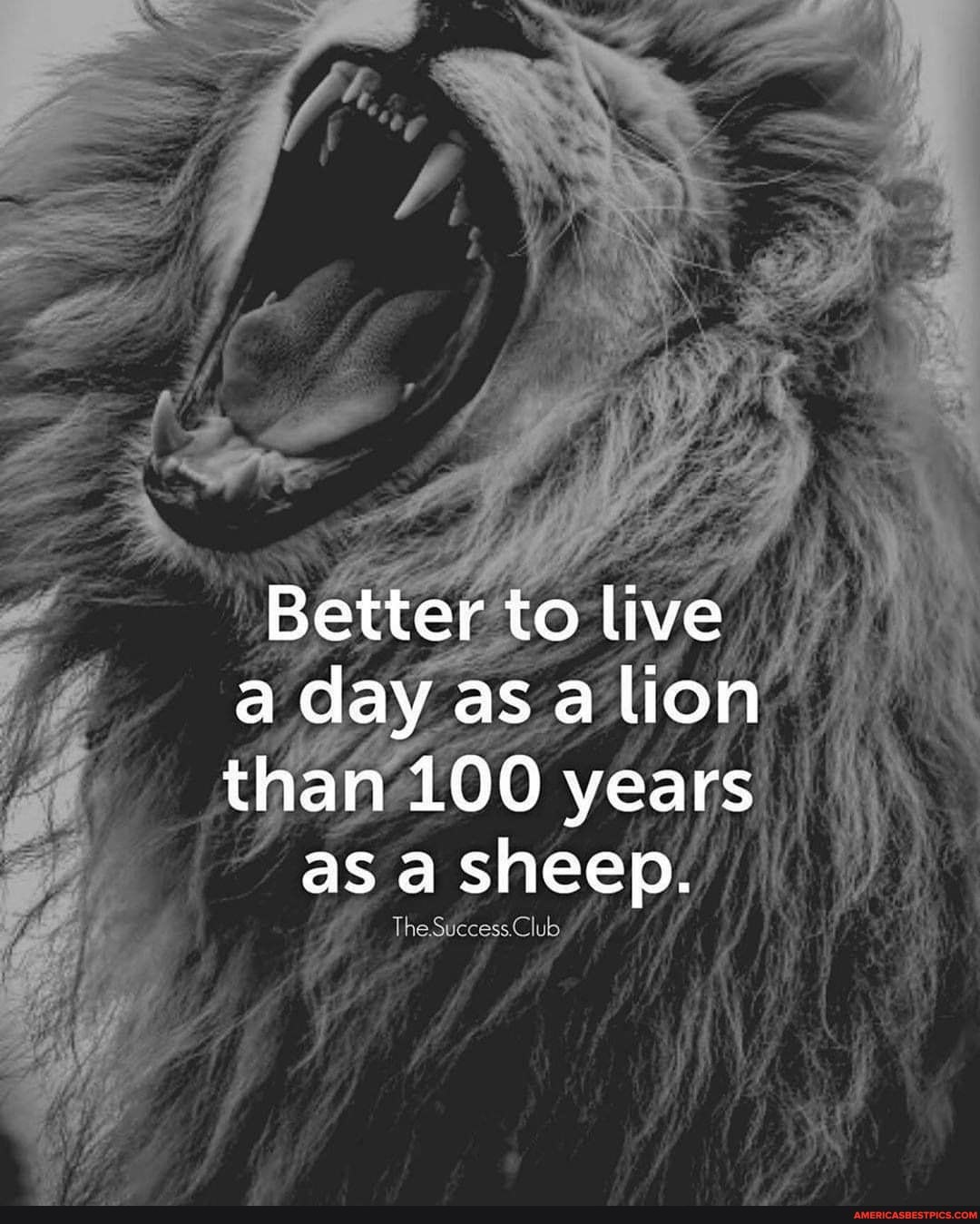 As. Better to live. Лев на один день. How not to live your life. Best place to live.