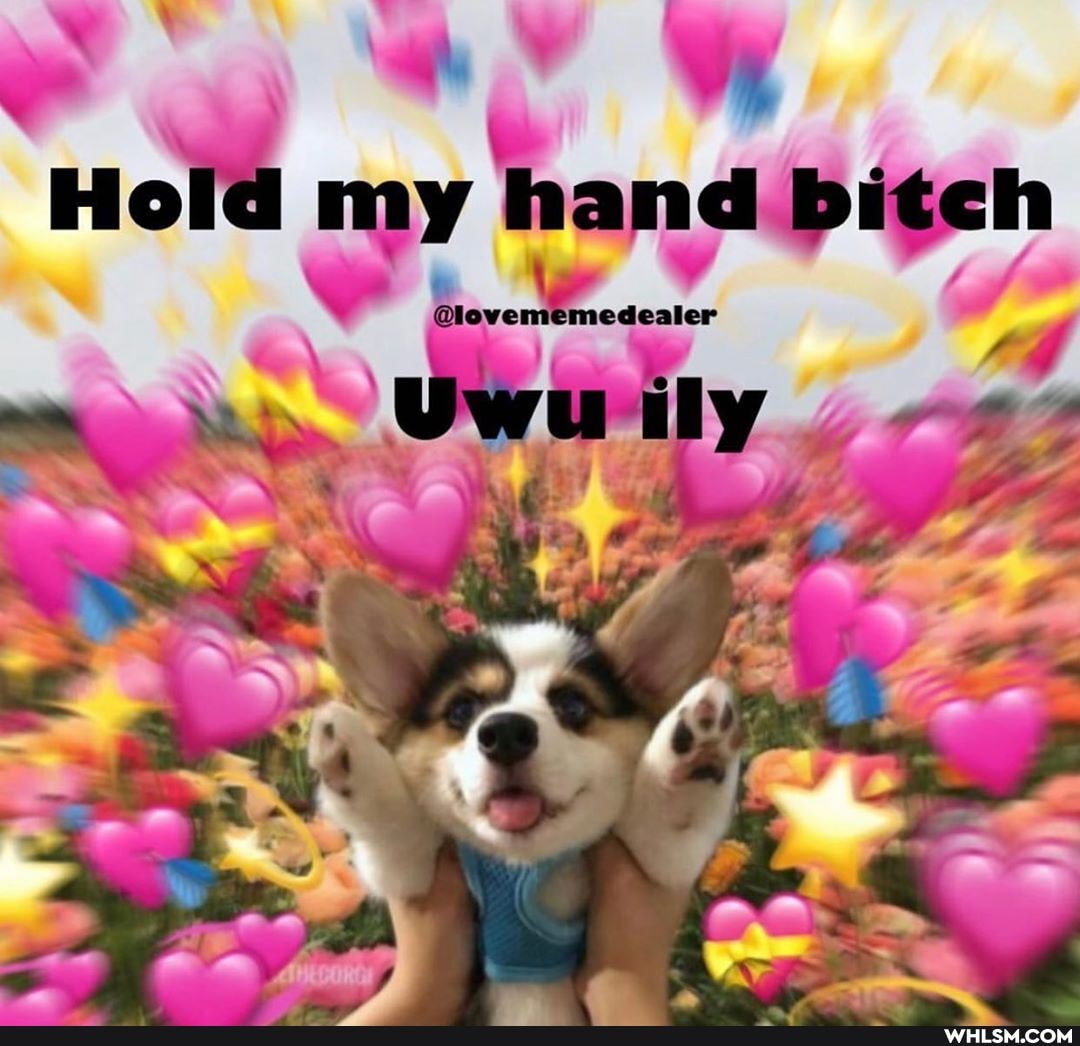Hold my hand bitch
@lovememedealer