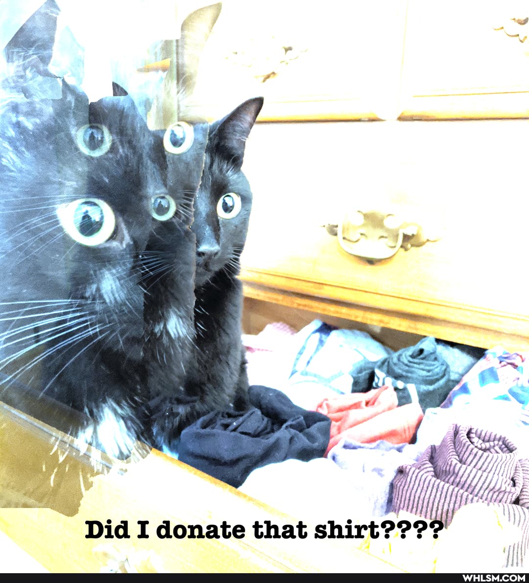 Did I donate that shirt???