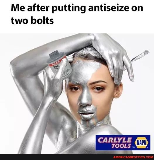 Me after putting antiseize on two bolts