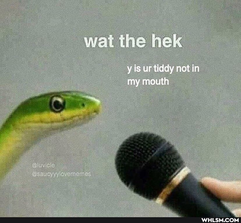 tite
y is ur tiddy not in my mouth
lo "mence