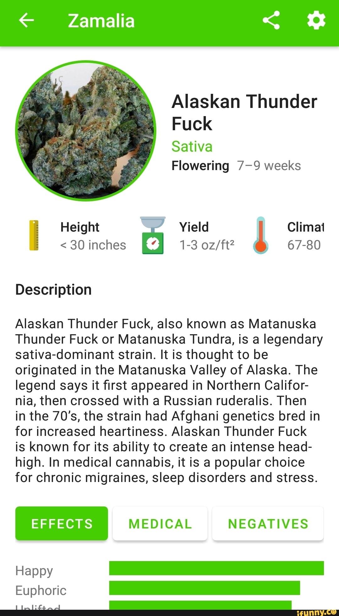 Alaskan Thunder
Fuck
Sativa
Flowering 7-9 weeks
I
Description
Alaskan Thunder Fuck, also known as Matanuska
Thunder Fuck or Matanuska Tundra, is a legendary
sativa-dominant strain. It is thought to be
originated in the Matanuska Valley of Alaska. The
legend says it first appeared in Northern Califor-
nia, then crossed with a Russian ruderalis. Then
in the 70's, the strain had Afghani genetics bred in
for increased heartiness. Alaskan Thunder Fuck
is known for its ability to create an intense head-
high. In medical cannabis, it is a popular choice
for chronic migraines, sleep disorders and stress.