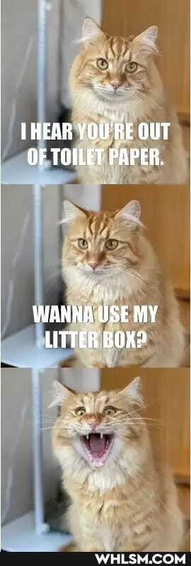 HEAR YOU'RE OUT OF TOILET PAPER.
WANNA USE MY LITTER BOK?