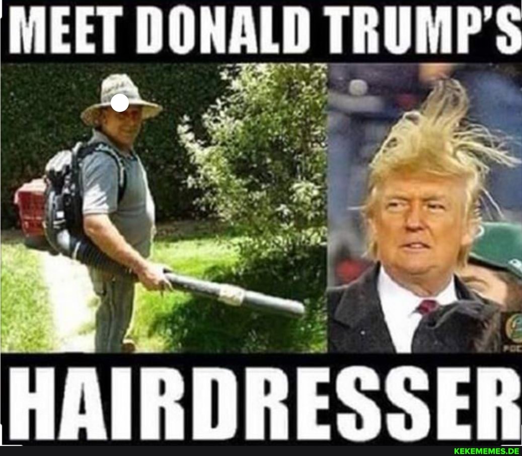 MEET DONALD TRUMPS
HAIRDRESSER