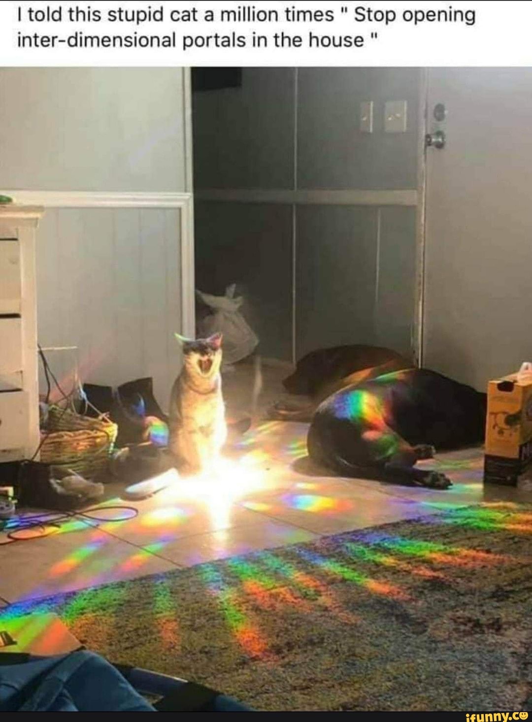 I told this stupid cat a million times Stop opening
inter-dimensional portals in the house