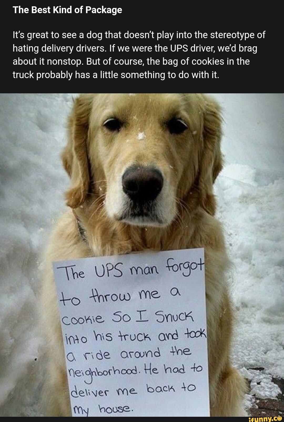 2 coolcatgroup The bebby is hi ry iFunny