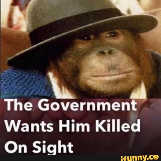 The Government Wants Him Killed On Sight iFunny Brazil