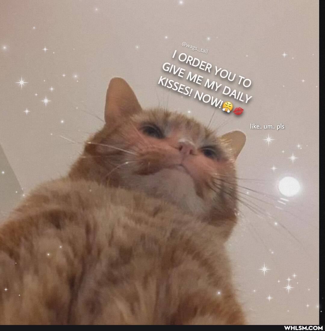 Rio,
PER
pls