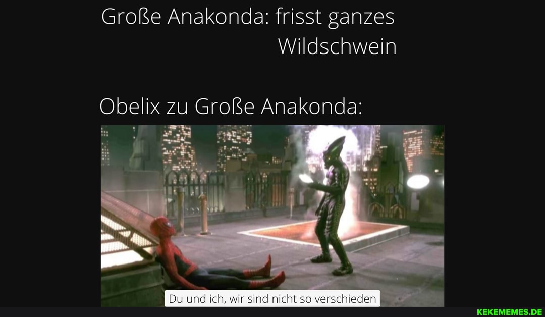 Große Anakonda: frisst ganzes
Wildschwein
Obelix zu Große Anakonda: