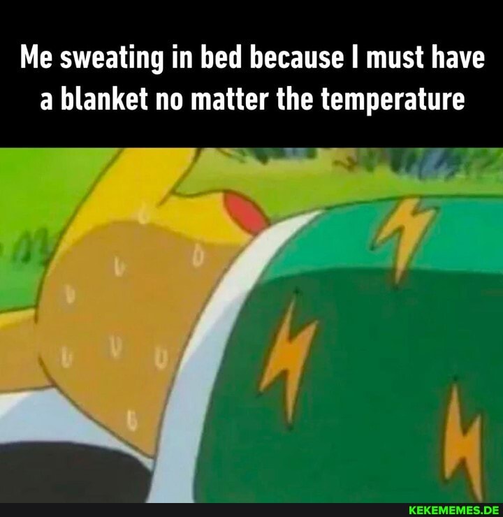 Me sweating in bed because I must have a blanket no matter the temperature