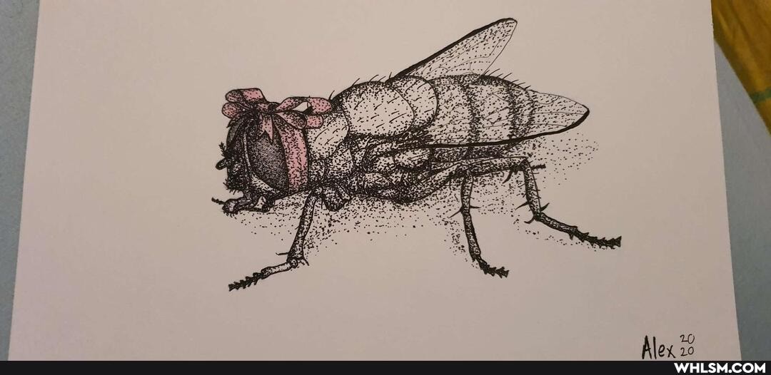 art, oc, shitpost, buzz